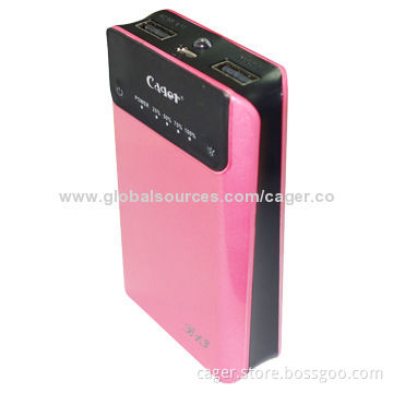 Portable Mobile Power Bank with 5V DC/1A Input, 8,000mAh Capacity